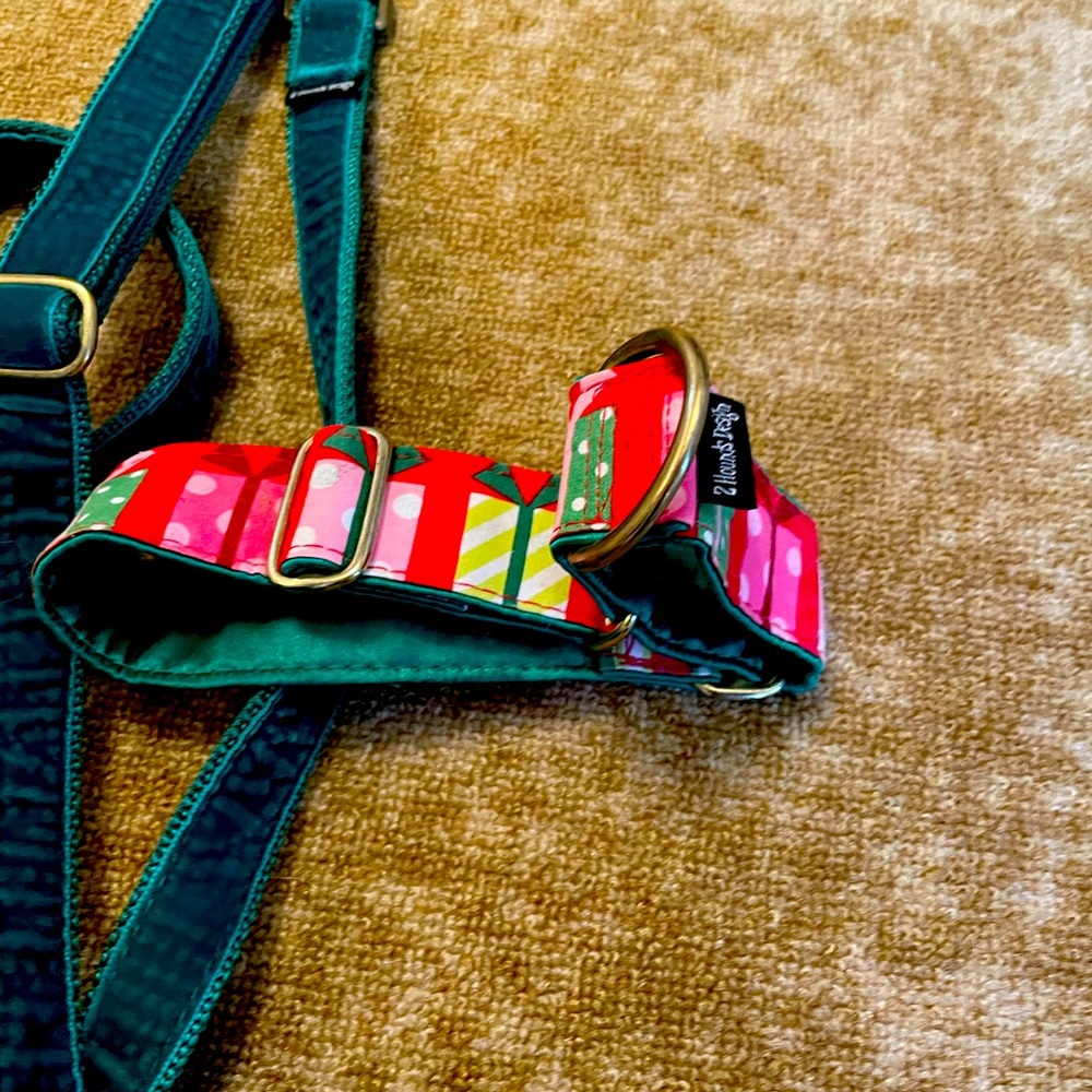 TWO HOUNDS CUSTOM MARTINGALE COLLARS MATCHING VELVET 6’ LEASH, strong HARDWARE
